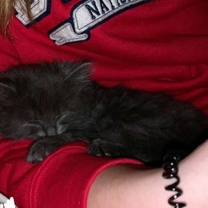 Meet your Posher, Emma